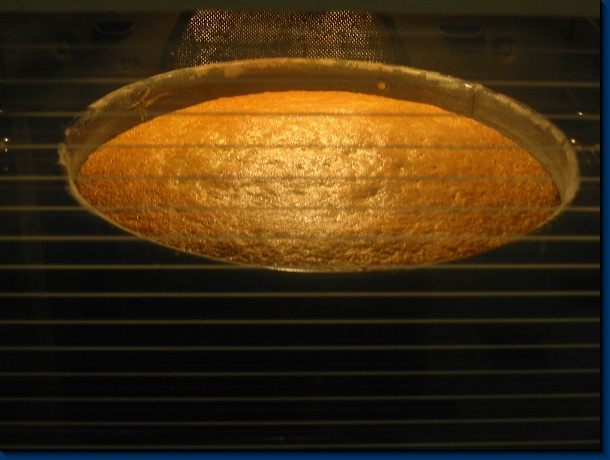 600x450 pixels (83,8K)